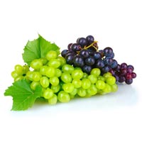 Manufacturers Exporters and Wholesale Suppliers of Fresh Grapes penukonda Andhra Pradesh